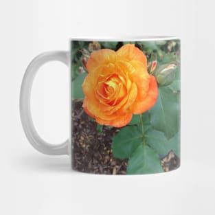 My Favorite Orange Rose Mug